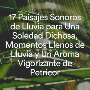 Lluvia Relajante的专辑17 Paisajes Sonoros de Lluvia para una Soledad Dichosa, Momentos Llenos de Lluvia y un Aroma Vigorizante de Petricor