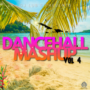 Album Dancehall Mashup Vol 4 (Explicit) from Dj Lub's