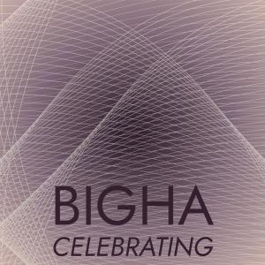 Bigha Celebrating dari Various