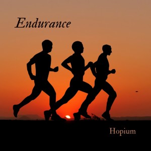 Hopium的專輯Endurance