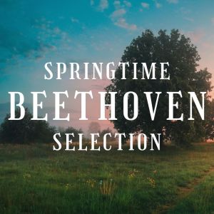 Album Springtime Beethoven Selection from Sinfonia Varsovia