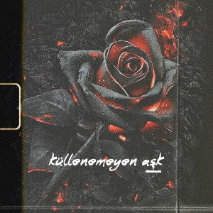 Album Küllenemeyen Aşk (Explicit) oleh Kurt
