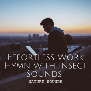 Album Nature Sounds: Effortless Work Hymn with Insect Sounds oleh Work Music Background Music