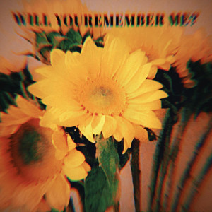 Listen to Will You Remember Me? song with lyrics from aunasti