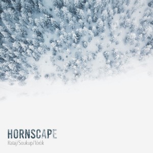 ดาวน์โหลดและฟังเพลง The land of snow พร้อมเนื้อเพลงจาก Hornscape