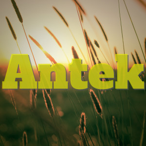 ดาวน์โหลดและฟังเพลง Bumble Bee พร้อมเนื้อเพลงจาก Antek