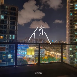 Album 你（如果你说我太过的软弱） oleh 杨李鑫