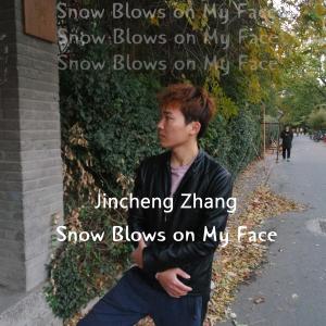 收听Jincheng Zhang的No One Noticed歌词歌曲