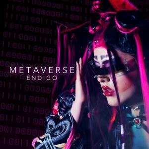 Album Metaverse from Endigo