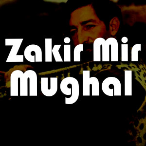 Dengarkan Laila Laila Laila lagu dari Zakir Mir Mughal dengan lirik