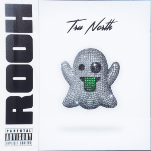 Listen to Rooh (Explicit) song with lyrics from Tru Baby