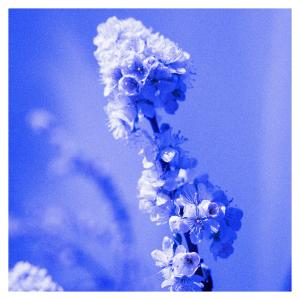 收聽Spring In A Small Town的Memoria歌詞歌曲