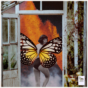 Listen to Samba de Fim de Tarde song with lyrics from Mu'gambi