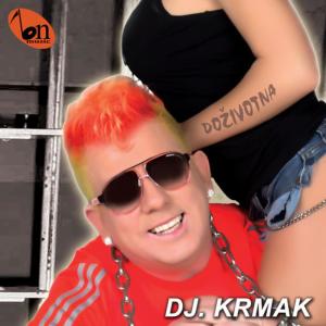 ดาวน์โหลดและฟังเพลง Remix พร้อมเนื้อเพลงจาก DJ. Krmak