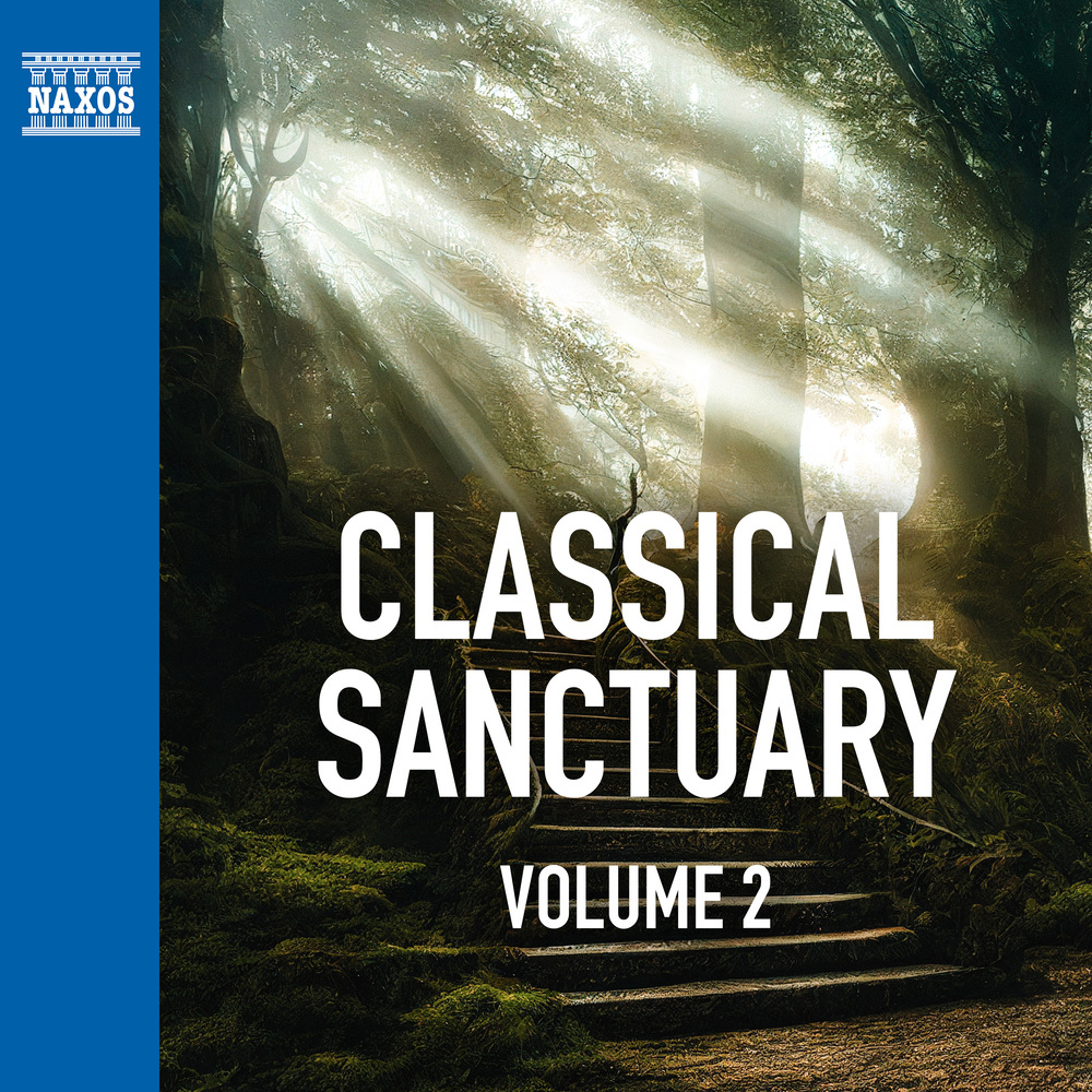 Verdiana (Version for Clarinet & String Orchestra) : II. Un bossa in maschera
