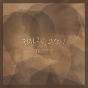 Album 청개구리 2021 oleh Tritops