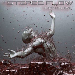 ดาวน์โหลดและฟังเพลง Goodbye (Vivian Roost Remix) (Bonus Track|Vivian Roost Remix) พร้อมเนื้อเพลงจาก The Stereo Flow