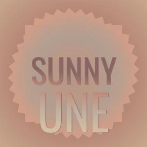 Album Sunny Une from Various