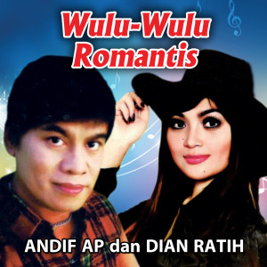 Album Wulu Wulu Romantis from Andif AP