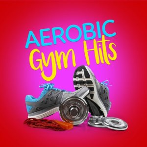 Gym Hits的專輯Aerobic Gym Hits