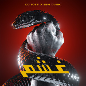 Album غشم from DJ Totti