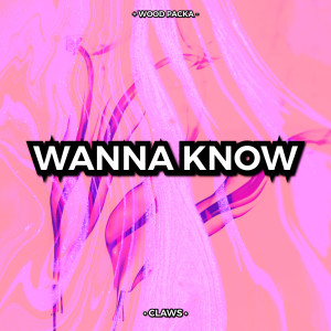 收聽Wood Packa的Wanna Know歌詞歌曲