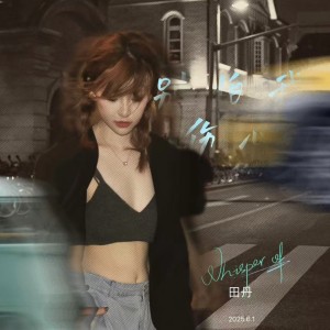 Listen to 别怕我伤心（伴奏） (完整版) song with lyrics from 田丹