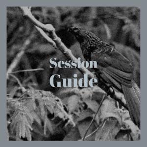 Album Session Guide oleh Various