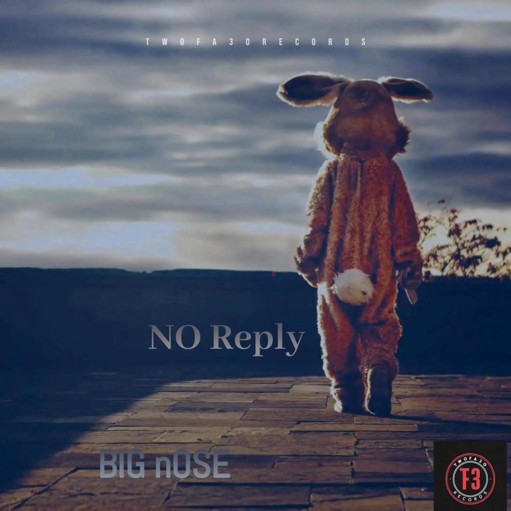 NO Reply