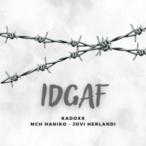 Mch Haniko的专辑Idgaf (Explicit)