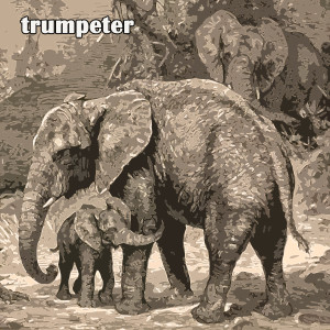 Album Trumpeter from Si Zentner