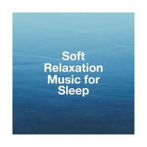 Album Soft Relaxation Music for Sleep from Relaxation and Meditation