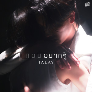 ดาวน์โหลดและฟังเพลง แอบอยากรู้ พร้อมเนื้อเพลงจาก Talay