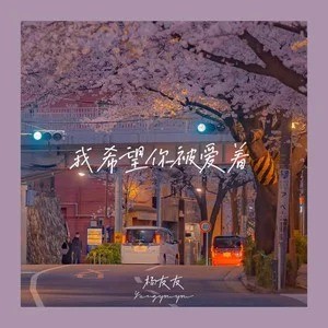 收聽楊友友的我希望你被愛着 (Live合唱版)歌詞歌曲