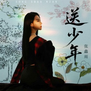 Album 送少年 from 张鑫雨