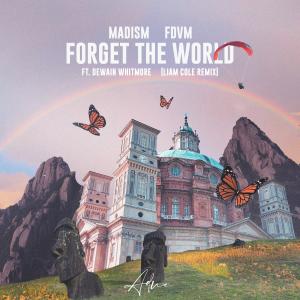 Forget the World (Liam Cole Remix) dari Dewain Whitmore