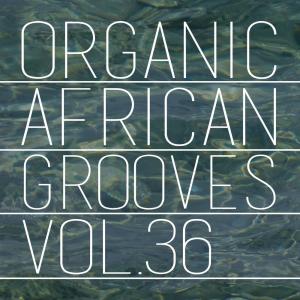 Album Organic African Grooves, Vol.36 from Various Artists
