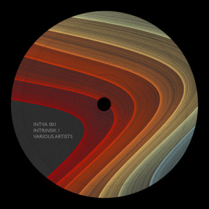 Various Artists的專輯INTRINSIK I