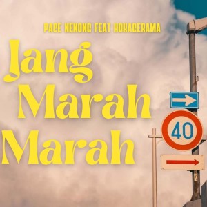 Album Jang Marah Marah oleh Pace Nenong