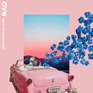 Dengarkan Tenderness lagu dari OVN dengan lirik