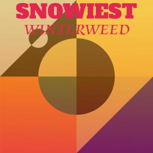 Listen to Dimwit Likewise song with lyrics from Gamar Shoma
