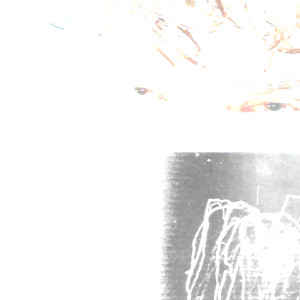 Listen to Schwarzer Himmel song with lyrics from beautiful despair