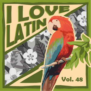 Various Artists的專輯I Love Latin, Vol. 48