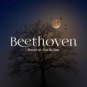Dengarkan Sonate au clair de lune in C Minor lagu dari Ludwig van Beethoven dengan lirik