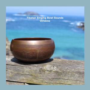 ดาวน์โหลดและฟังเพลง Octaves พร้อมเนื้อเพลงจาก Tibetan Singing Bowl Sounds
