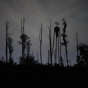 _LonelyTwin_的專輯Sirenhead (feat. Veinn) [Explicit]