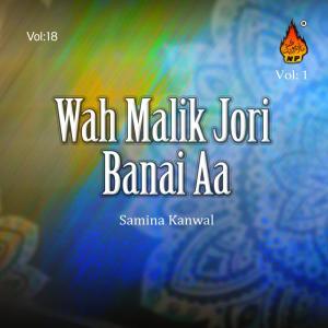 收聽Samina Kanwal的Disi Garha Bangla Monke歌詞歌曲