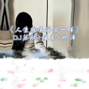 Listen to 对不起我又把你当成是她了 song with lyrics from Dj苏航