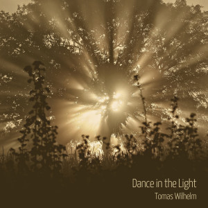 收聽Tomas Wilhelm的Dance in the Light歌詞歌曲