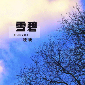 Album 雪碧 from 沈波